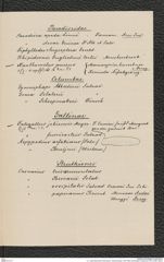 k.k. naturhistorisches Hofmuseum, Intendanzakten 1876-1884 (Hochstetter), Aktenzahl Z.251.j/1883, Seite 3